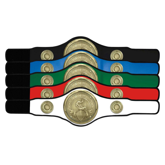 Champion Belt Judo/Jujitsu Award