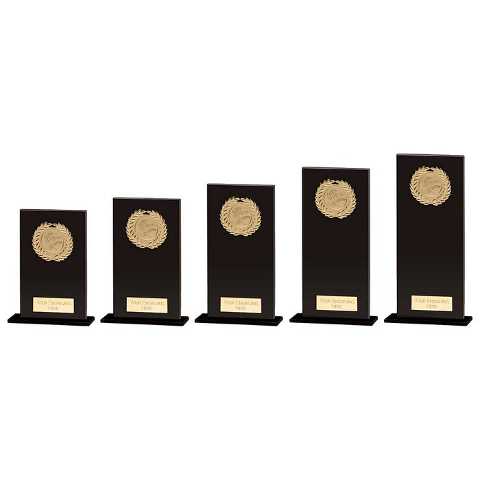 Hero Multisport Glass Award Black