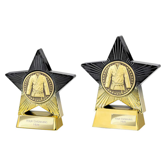 Superstar Martial Arts Award
