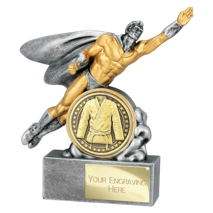 Hero Male Martial Arts Award