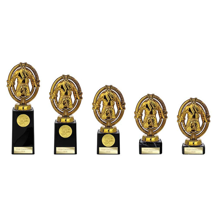 Maverick Legend Martial Arts Award