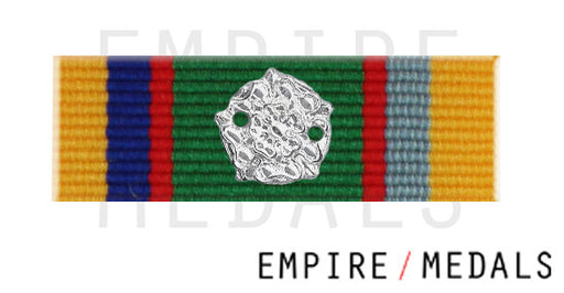 Cadet Forces Medal Ribbon Bar with Silver Rosette