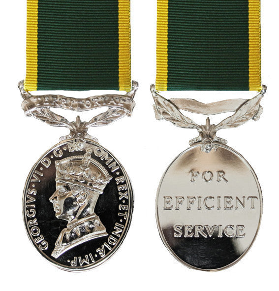 TA Efficiency Medal GVI