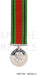 Defence Medal Miniature